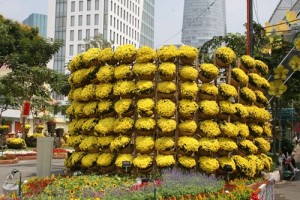 Đường hoa Hàm Nghi trước giờ khai mạc