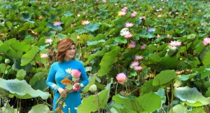 Á hậu Phạm Kiều Oanh khoe sắc cùng hoa sen