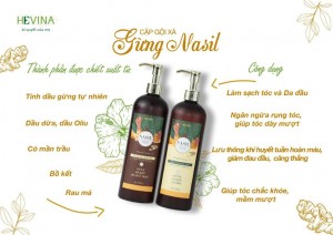 HEVINA ứng dụng tinh dầu gừng vào sản xuất dầu gội xả dưỡng sinh