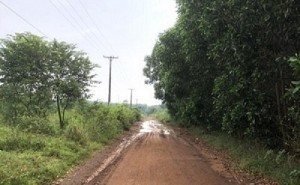 Con đường và lưới điện do Công ty H.P đầu tư