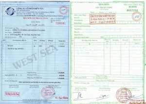 Hóa đơn giá trị gia tăng (bị cáo cung cấp) và Hóa đơn bản gốc nhưng khi gửi đi giám định lại là hóa đơn photo