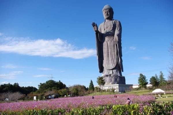Dai Nghia 6