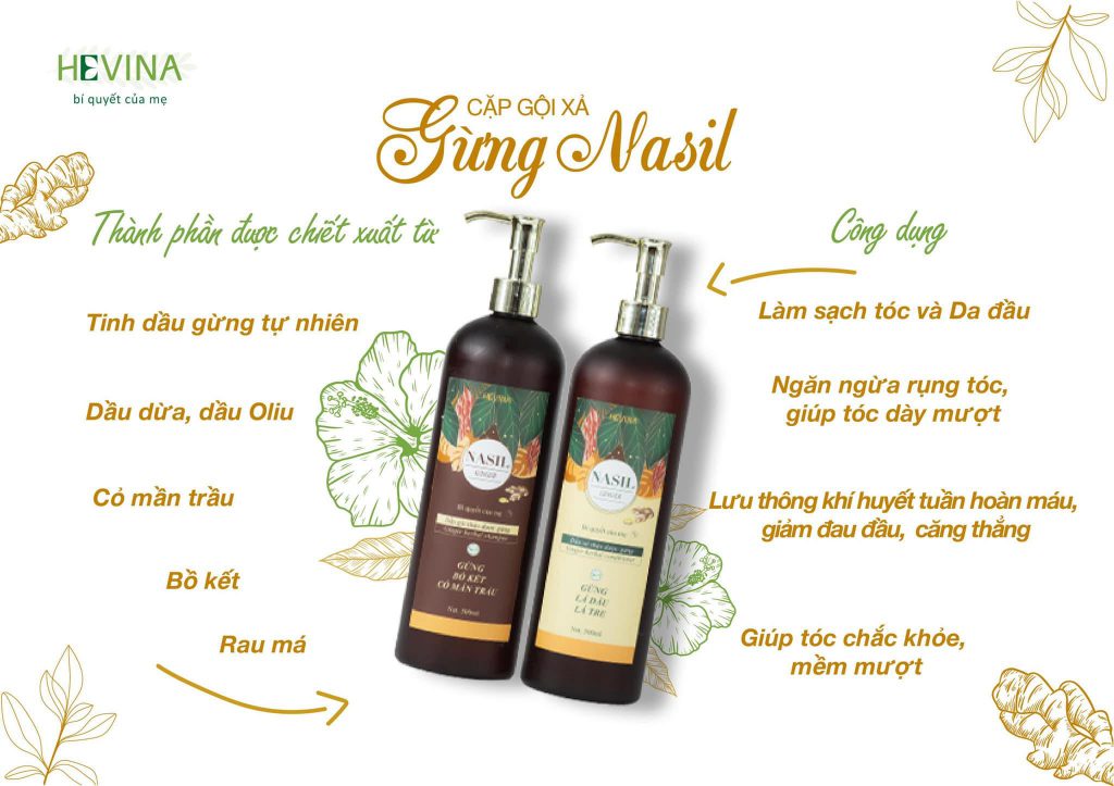 HEVINA ứng dụng tinh dầu gừng vào sản xuất dầu gội xả dưỡng sinh