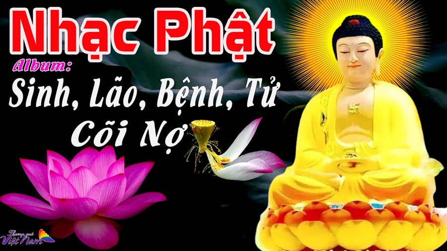 An Thien Vy 7