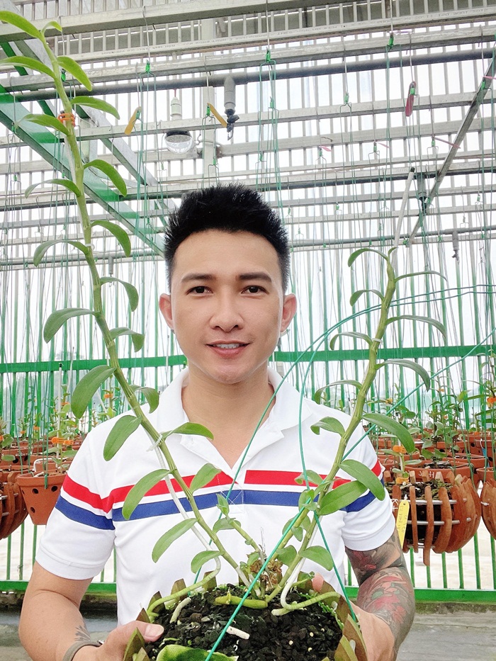 Cao Tung Huy 14