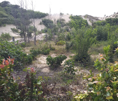 Một góc khu đất công 2,19ha bị bỏ hoang