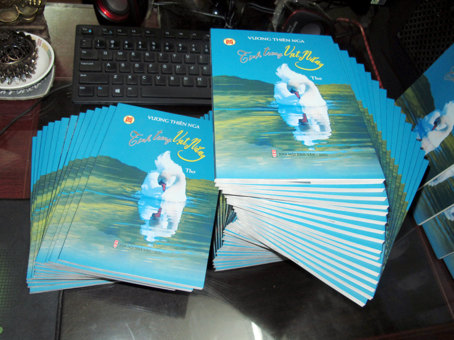 Vuong Thien Nga 8