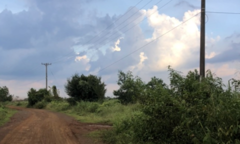 Đường điện trung thế do Công ty H.P đầu tư