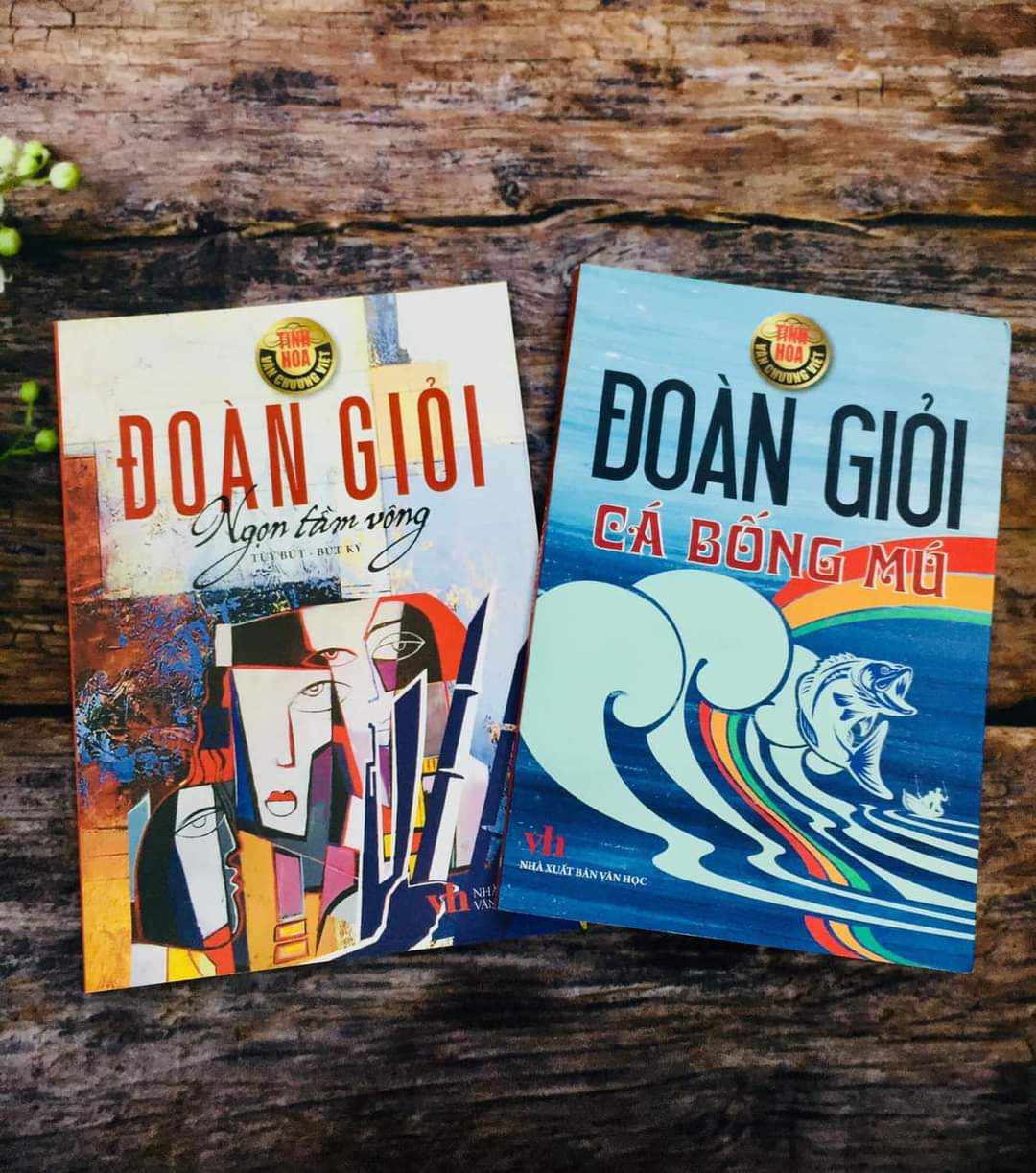 Doan Gioi 5