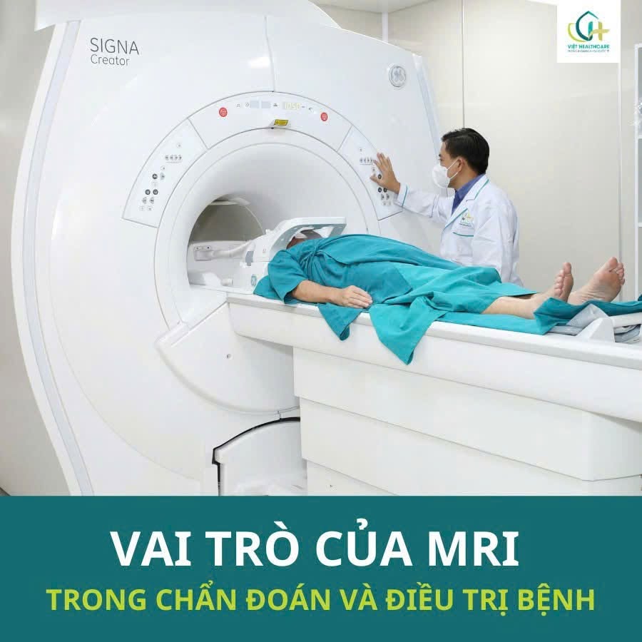 PK Viet 6
